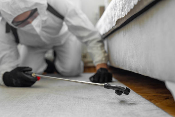 Professional Bed Bug Control technician working in Aberdeen, ID